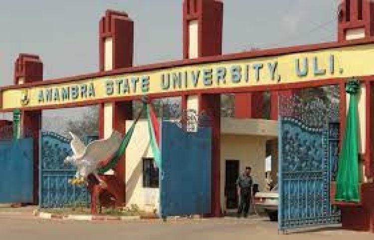 Anambra State University, Uli Promotes 18  Into Professorship