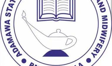 Adamawa College of Nursing and Midwifery releases admission form, 2023/2024 (Stream B Edition)