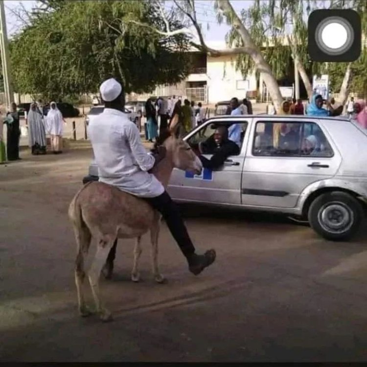University of Maiduguri Student Uses Donkey As Means Of Transportation To School