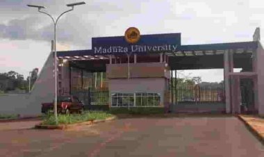 Maduka University Announces the First Batch of Admission List