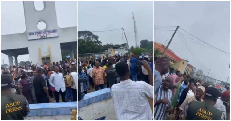 Polytechnic Lecturers Protest As Nigerian Governor Suspends Rector Over Alleged Corruption