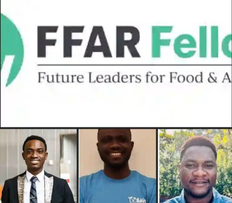 3 FUTA Alumni Win International Fellowship In US