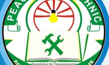 Peace Institute of Management and Technology announces date for scholarship exam for 2023/2024 session