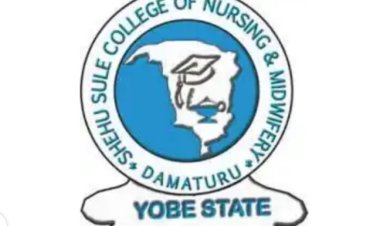 Shehu Sule College of Nursing Science and Midwifery, Damaturu Admission Form, 2023/2024 Is Out