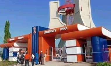 Court jails UNIZIK ex-lecturer over defamatory post on Facebook