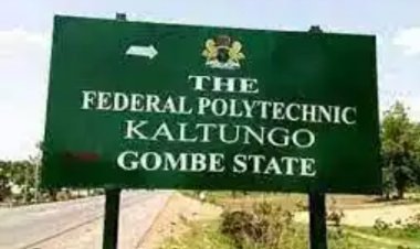 Official List Of ND Courses Offered In Federal Polytechnic Gombe