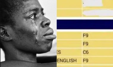 Reactions as Top Graduating Student Scores Four F9s in WASSCE Results