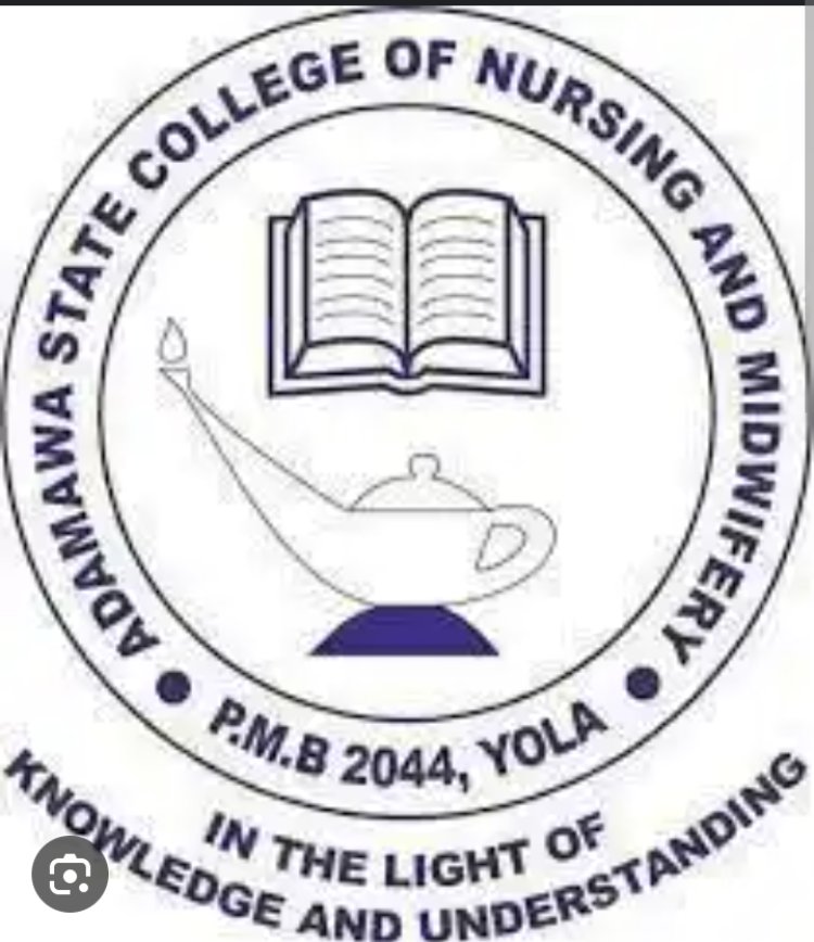 College of Nursing and Midwifery, Yola Stream B admission list, 2023/2024