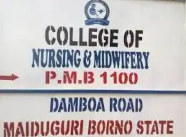 How To Apply For College of Nursing Science, Maiduguri admission forms, 2023/2024