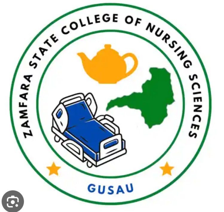 Zamfara State College of Nursing Sciences releases admission form into Midwifery - 2023