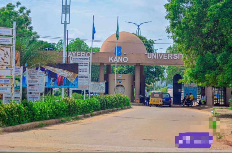 Exceptional Opportunity for Female Engineering Students at Bayero University Kano