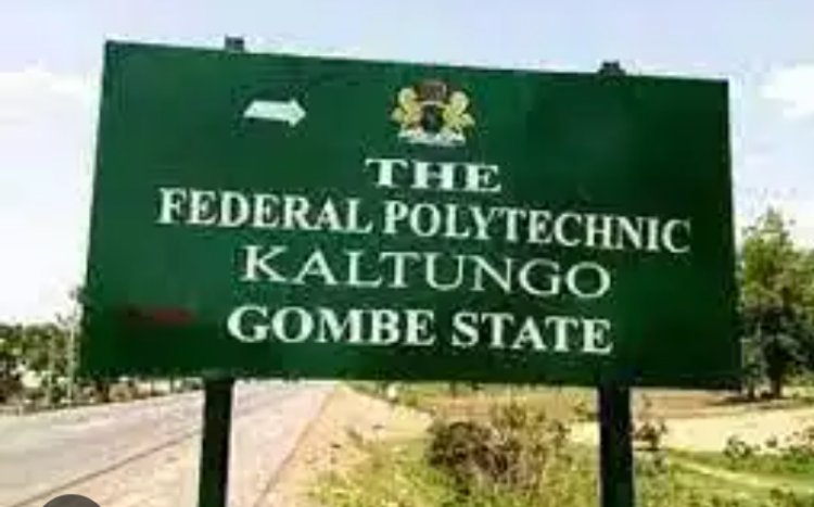 Federal Polytechnic Gombe Releases Notice On commencement of admission exercise