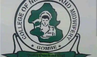 College of Nursing Sciences, Gombe Basic Midwifery Set 19 admission lists, is out
