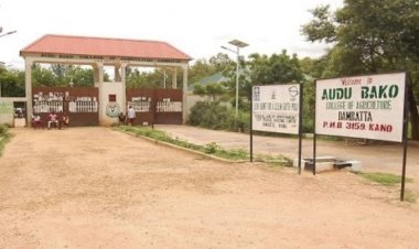 Audu Bako College Summer Course: What You Need to Know