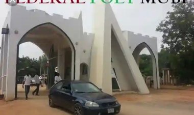 Federal Polytechnic Mubi 2023/2024 Cut Off Mark For All Courses