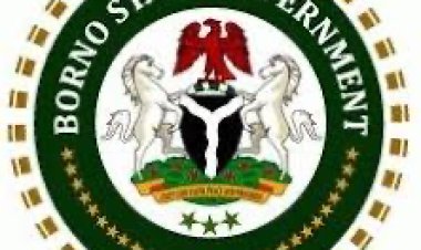 Borno State Scholarship Board announces scholarship for indigenes, 2022/2023 & 2023/2024