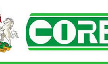 COREN Declares Five Universities Unfit to Produce Engineering Graduates