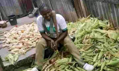 Unimaid Graduate Trends As She Was spotted Helping Her Parents While Serving Her Country.