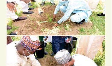 FUD VC Flags Off Planting of Trees for Beautification of Campus