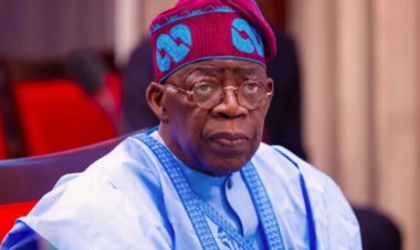 Tinubu attended Chicago State University, former schoolmate confirms