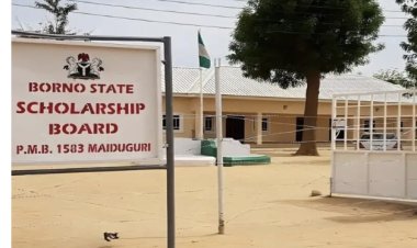 Borno State Scholarships for 2022/2023 & 2023/2024