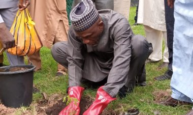 ABU’s Institute for Agricultural Research is 100 years