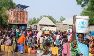 11,000 out-of-school children in Niger over insecurity, says FG