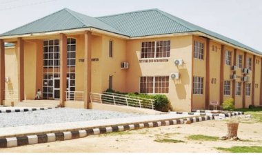 Over 24 Students Abducted as Bandits Invade Federal University Gusau
