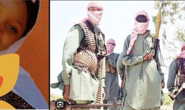 Over 24 University Students missing as Unknown Gun Men Attack Hostel