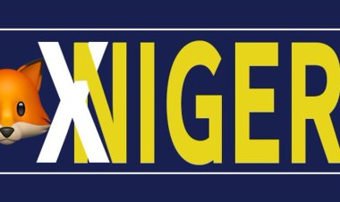 Fulfill Your Academic Dreams with the Fox Nigeria Scholarship for Study in South Korea