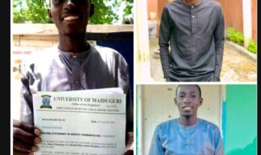 Tragic End to Dreams: University of Maiduguri Fresh Graduate Falls Victim to Boko Haram Ambush