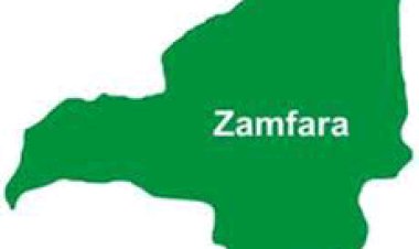 FG Berates Zamfara for Politicising Abduction of Varsity Students