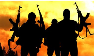 3 Poly Students Shot, 1 Kidnapped In Nasarawa