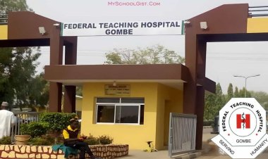 Pursue Your Nursing Dreams at CONS Institute of Health Sciences, Gombe: Admissions Open for 2023/2024!