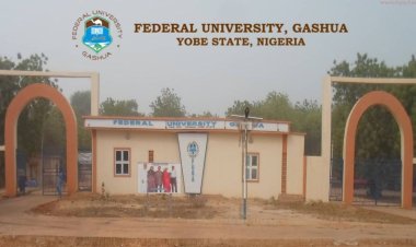 Federal University, Gashua: Your Gateway to Higher Education in 2023/2024!
