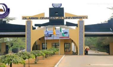 OOU appoints Sowunmi as new bursar