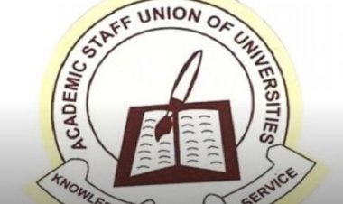 How to end ASUU strike — Ex-education Minister