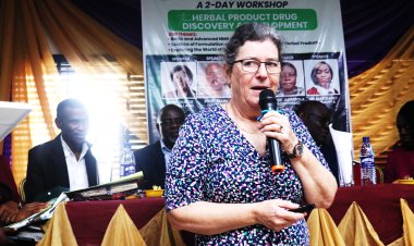 Prof. Dulcie Mulholland Advocates for High-Impact Research at the University of Surrey