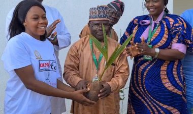 Biochemistry Department, Federal University of Lafia (FULafia) Donates Trees to University