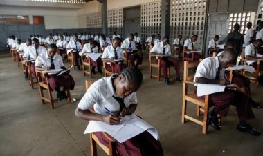 Why It's Essential for Every Secondary School Student to Acquire a Skill Before University