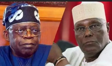 Academic Records: Privacy Law Can't Shield Tinubu, Atiku Asserts
