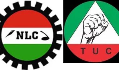 Nigeria Labour Insists On Indefinite Strike, Condemns FG's Meeting