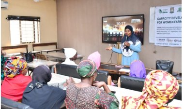 Kwara Varsity Trains Women Farmers On Climate Change Mitigations