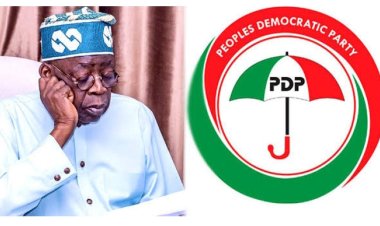 You Told Nigerians You Had First Class From Chicago University; Stop Hiding Your Academic Records – PDP Tackles President Tinubu