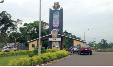 Customs Boss Bashir Adebiyi and Others to Be Honored at Obafemi Awolowo University Alumni Event