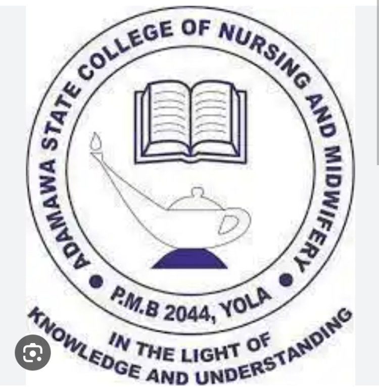 College of Nursing and Midwifery Yola  Caution Students and Staff Against Mischief, Inciting the Public