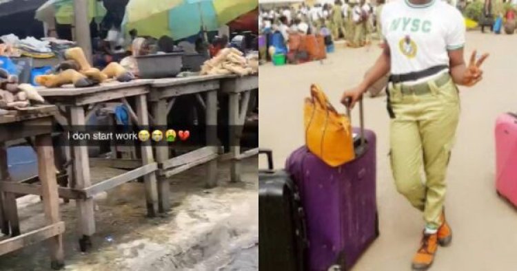 Outrage Follows NYSC's Placement of Graduate at Local Abattoir