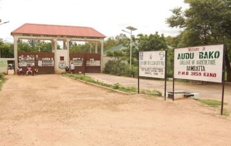 Audu Bako College Summer Course: What You Need to Know