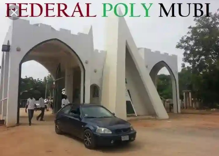 Federal Polytechnic Mubi 2023/2024 Cut Off Mark For All Courses