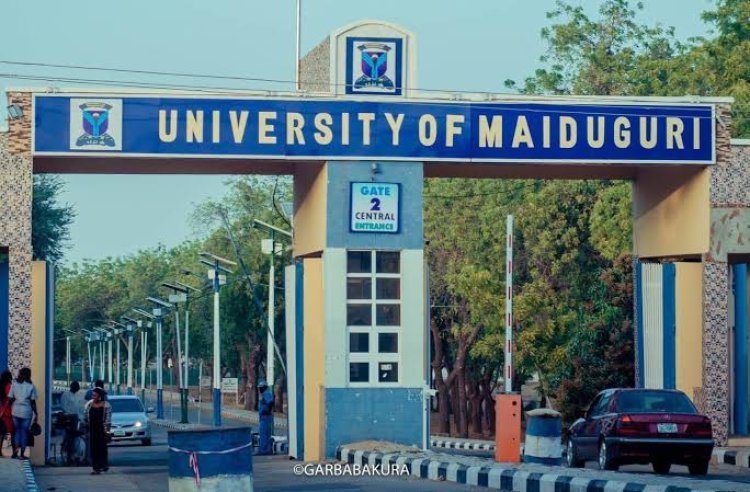University of Maiduguri Releases POST UTME Form for 2023/2024 Academic Session